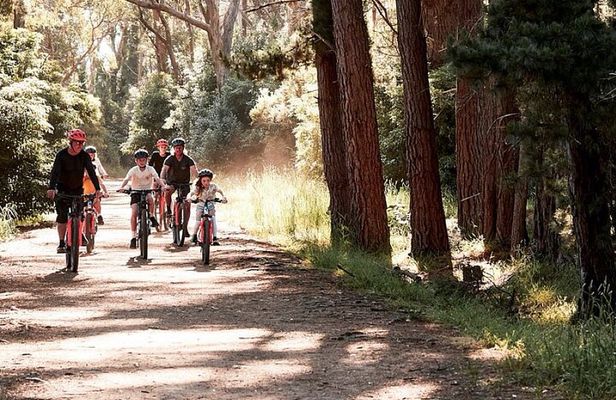 Mornington Peninsula guided e-bike tour