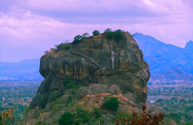 Sigiriya Tuk Tuk Safari