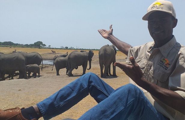 Hwange National Park Full Day Trip