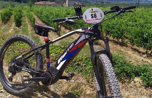 Private Guided Tour by E-Bike and Electric MTB in Fiesole