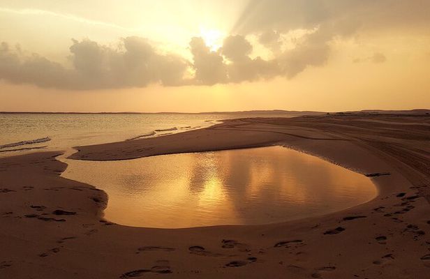 Doha: Sunrise /Sunset Desert Safari with Sand Boarding,Camel ride