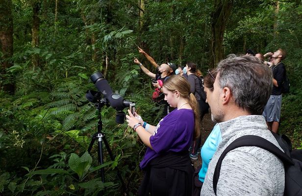 One Day Of Nature in Monteverde