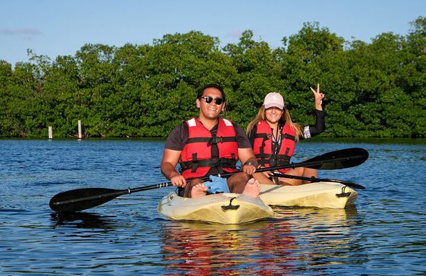 Kayaking Tour in Cancun