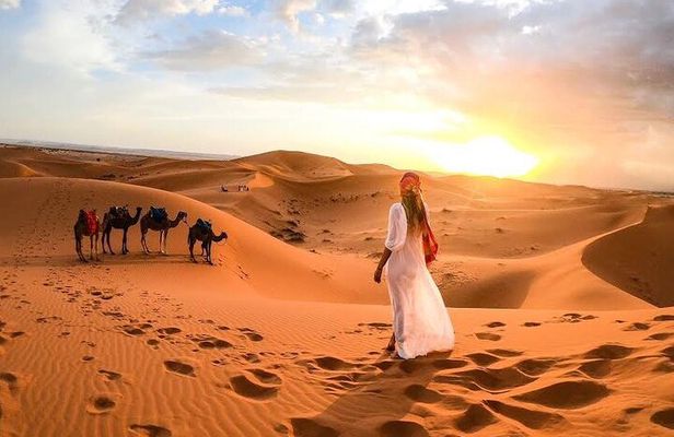 Camel Trekking in Dubai Desert with BBQ and Live Shows