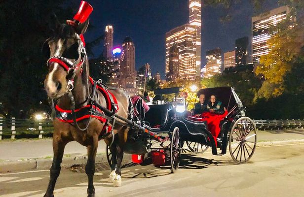 Central Park Moonlight Tour with Photo (45 min) ~ Skip the line