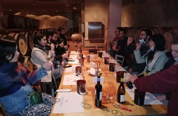 PRIVATE Wine Tasting Tour to the Bekaa Valey Fabulous Wineries