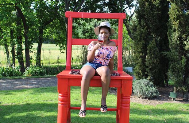 Private Visit to Wineries Stelenbosch from Cape Town Price/Group