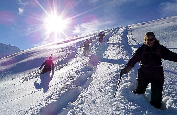 Scenic Snowshoe Adventure in South Lake Tahoe, CA