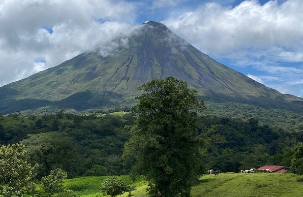 From San José-Private Arenal Volcano & Local Life Experience