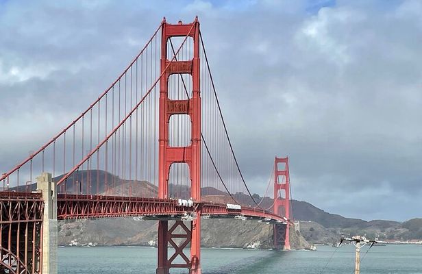 San Francisco Highlights Private 3-Hour Driving Tour