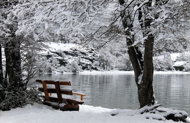 5-Hour National Park + City tour - USHUAIA (Private Tour)