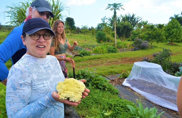 Farm to Table Cooking Class at Kulaniapia Falls