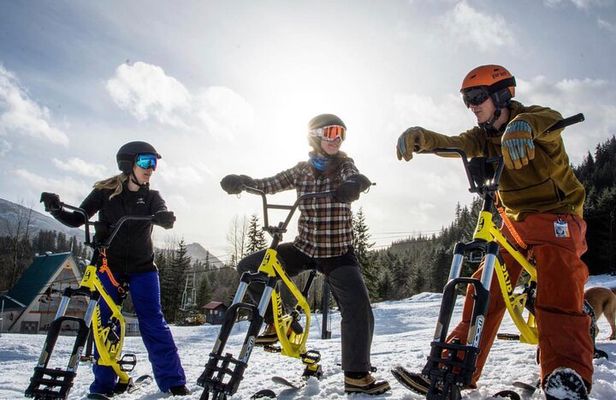 Ski Bike Rental in South Lake Tahoe