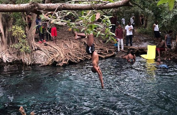 Materuni Waterfalls, Coffee Tour and Hot Springs
