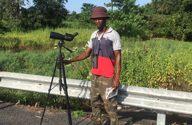 Birdwatching tours
