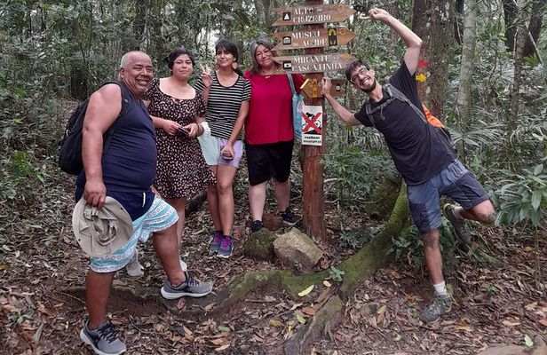 Tijuca National Park and all its wonders
