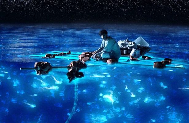 Bioluminescence in Kayak Holbox