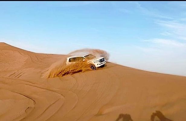 Desert Safari With BBQ Dinner, Camel Ride, Sand Boarding In Dubai