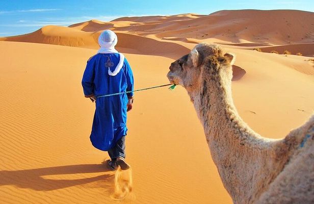 4 Day Desert tour from Marrakech to Fez