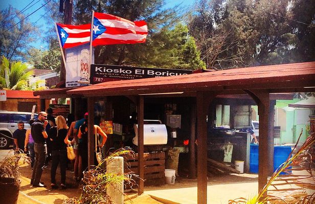 Discovering Puerto Rico: Lifestyle, Art, and Cultural Tour