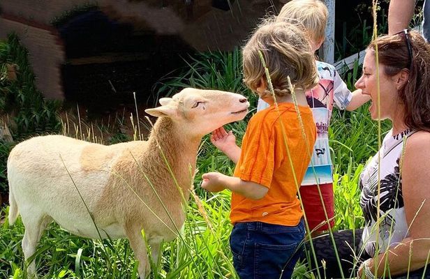 Magical Creatures Sanctuary Private Tour