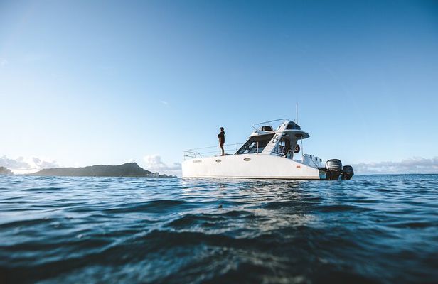 Private Whale Watching and Coastal Swimming Tour Honolulu