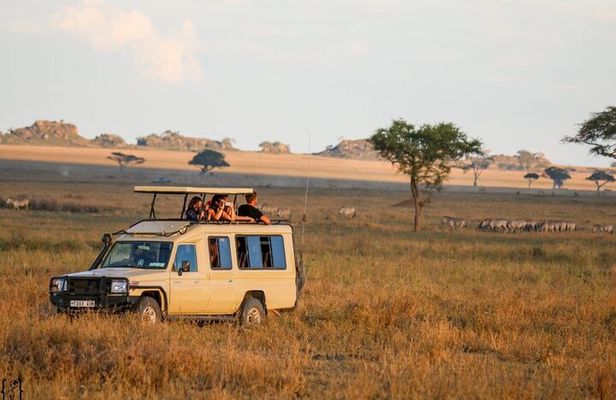 6-Day Unforgettable Tour in Tanzania