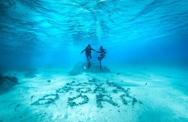 Romantic dive in the lagoon of Bora Bora. Private instructor on a shared boat