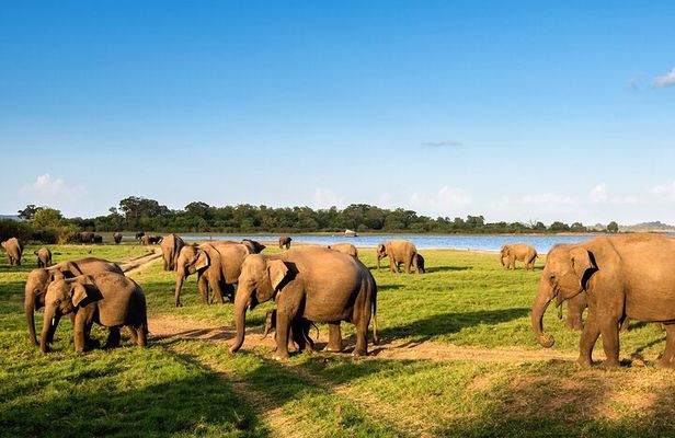 Private Multi-Day Outdoor Tour in Sri Lanka
