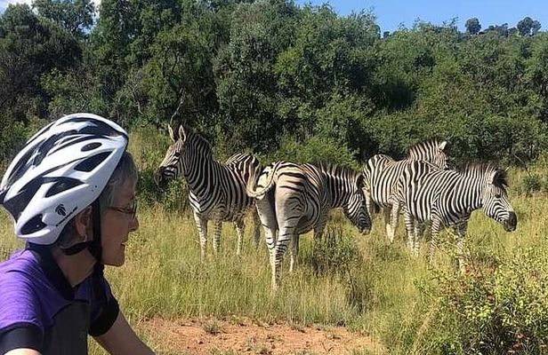 Half Day E-Biking with Wildlife Watching in Pretoria
