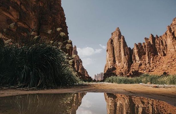 Wadi Al Disah Full Day Tour with Hotel Pickup