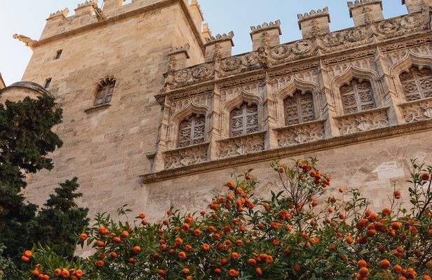 Private 3 hours Walking Tour in Valencia City 