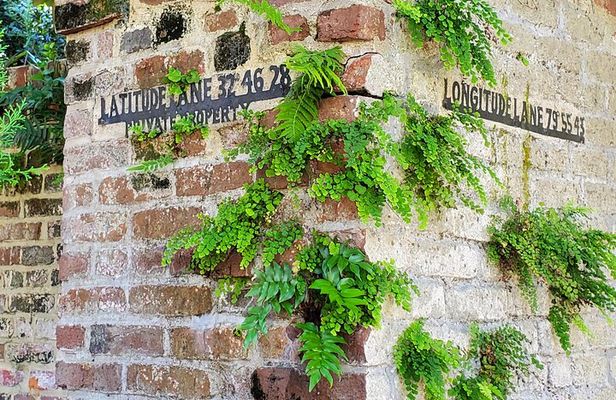 Private Walking Tour of Historic Charleston