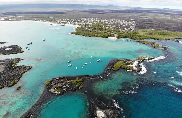 Day Tour to Isabela Island with Tintorera Islet, Snorkeling Wetlands & Flamingos