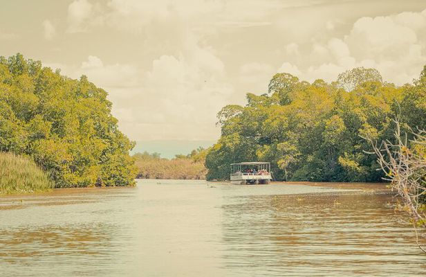 Appleton Estate, Black River Safari and YS Falls