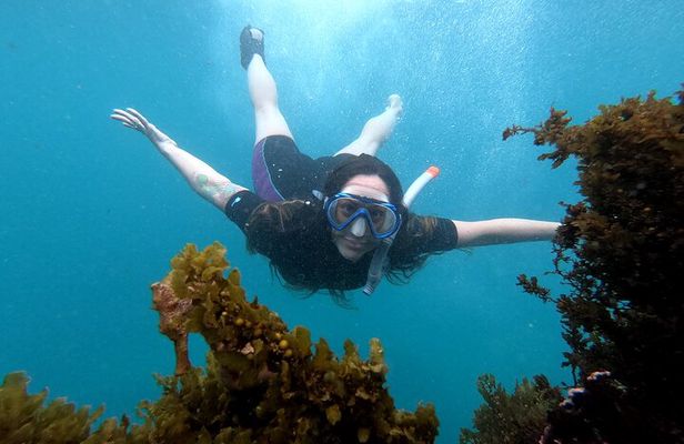 5 days excursion to Galapagos Islands with Snorkel and Volcanoes