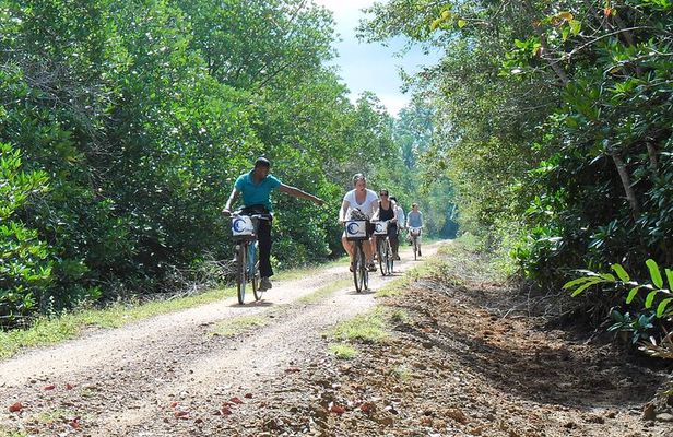 Half-Day Lagoon and Village Cycling Tour in Galle