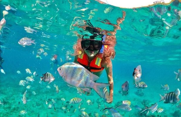 Snorkeling tour Express in Cancun with Certified Guide