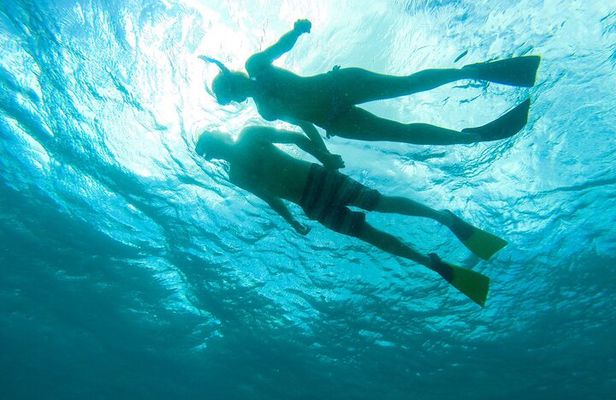 Deluxe Half-Day Snorkel Sail on Lady Grace Luxury Catamaran