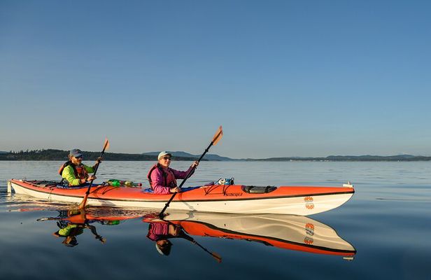 Guided Kayak Tour on San Juan Island