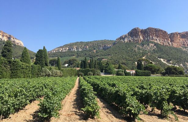 Half day Wine Tour in Bandol & Cassis from Aix en Provence