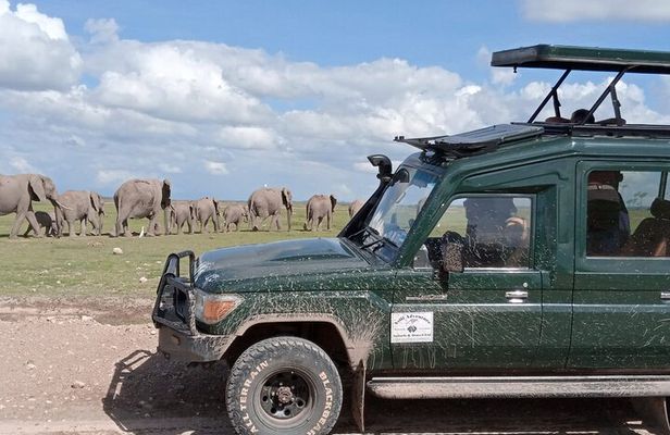 6 Days Amboseli,Lake Naivasha and Masai Mara Safari