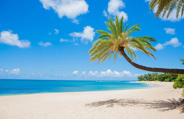 Grand Circle Island Tour