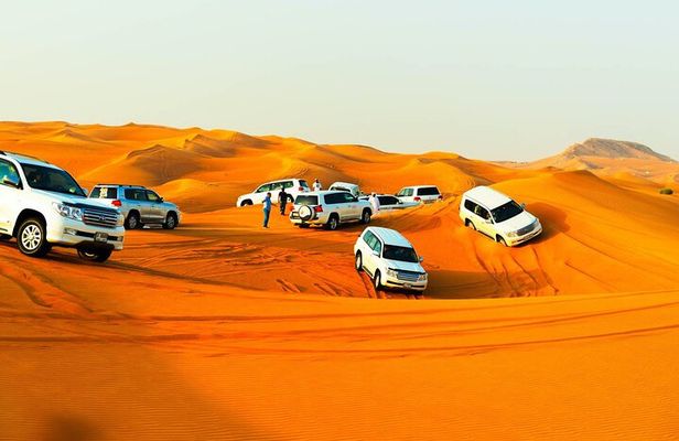 Private Morning Dessert Safari Tour with Sand Boarding and Dune Bashing