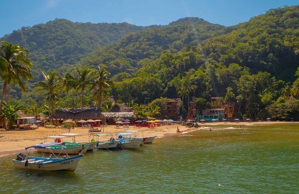 Private Boat Tour to Yelapa with Snorkeling and Waterfall Hike