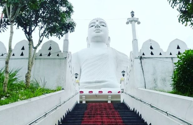 Full day Kandy walking tour with TUK TUK ride to Peradeniya gardens