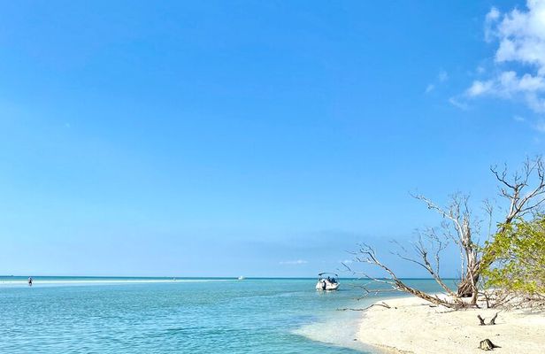 Half-Day Private Tiki Boat Beach Tour from Fort Myers