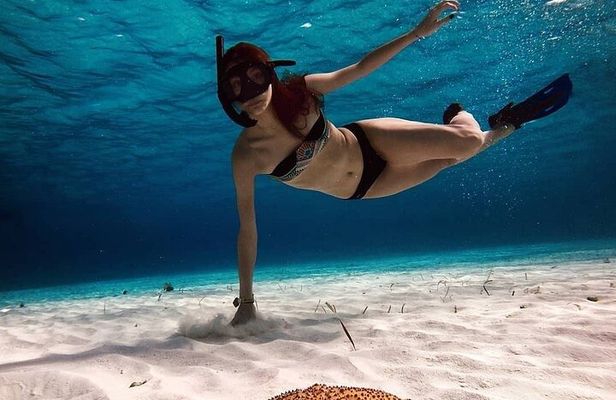 Snorkeling Experience in Cozumel with Transportation from Cancun