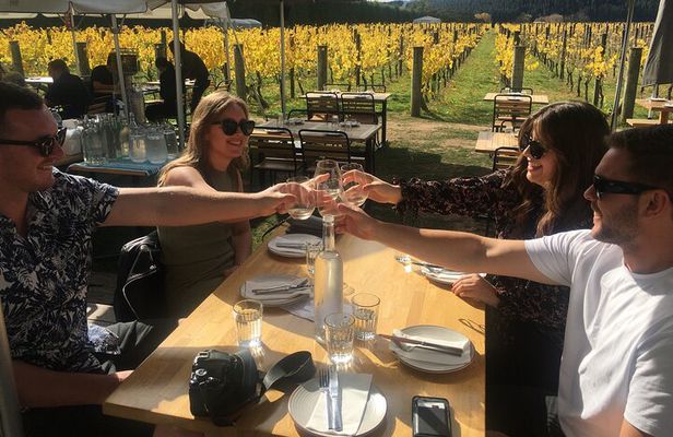Private Wairarapa Wine Delights Tour from Wellington