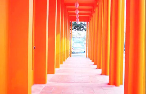 Hidden World of Miami Design District